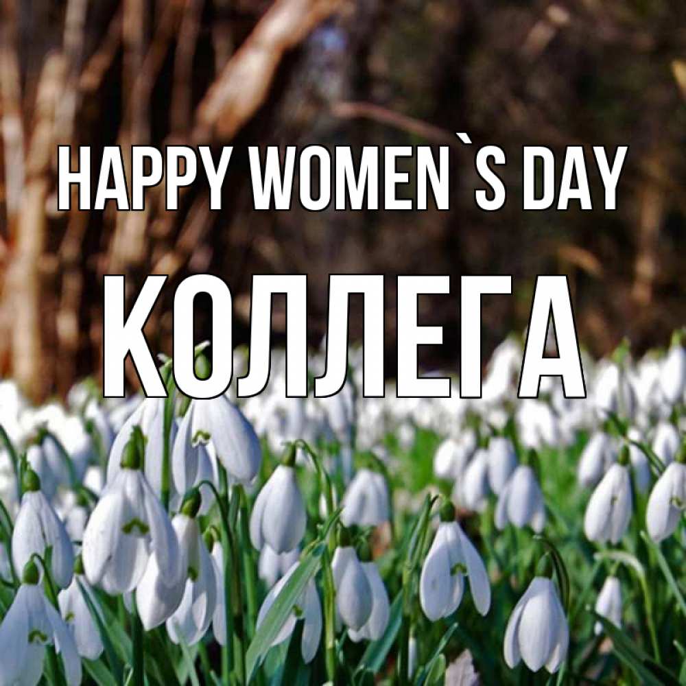 Greetings card с именем, Коллега happy women`s day с подснежниками 1 Greetings with text for free download 